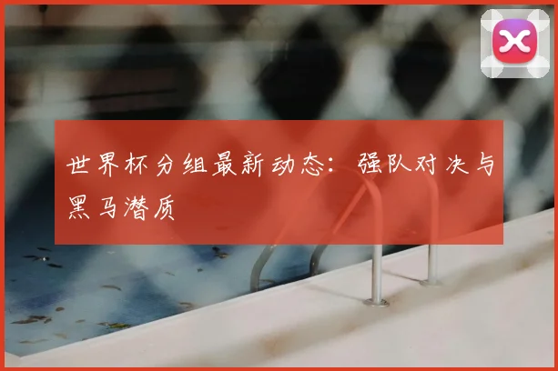 世界杯分组最新动态：强队对决与黑马潜质